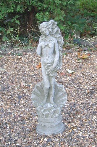 KF10 Mini Shell Lady KF10 Mini Shell Lady